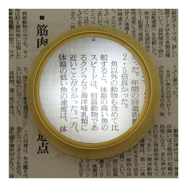 photo2