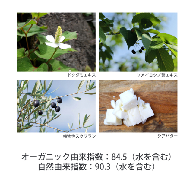 photo4