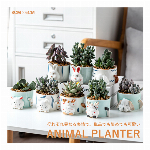 植木鉢 ミニ シンプル スクエア プランター 多肉植物 多肉ポット 盆栽鉢植え ..