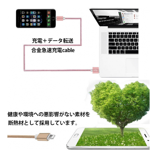photo3