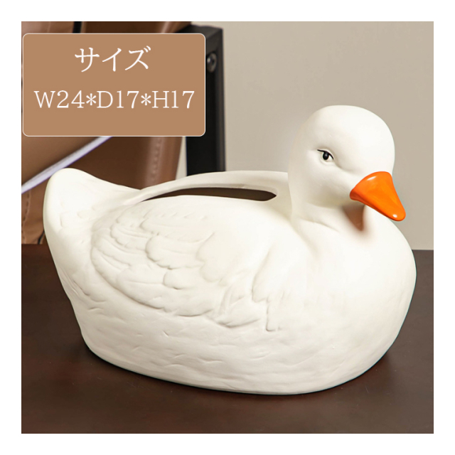 photo8