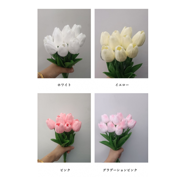 photo8