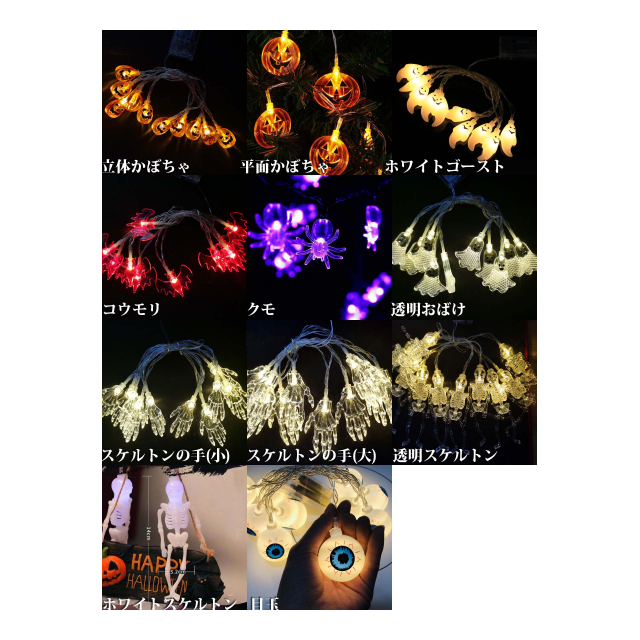 photo8