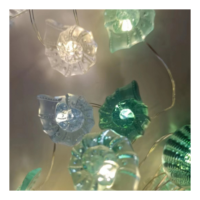 photo3