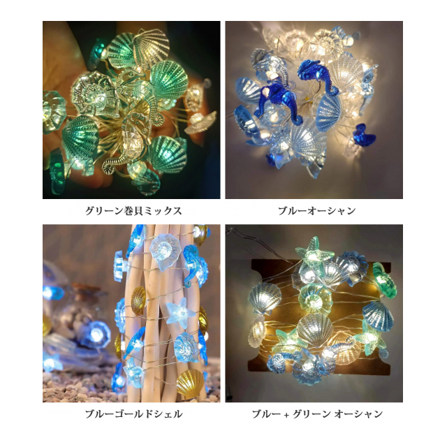 photo8