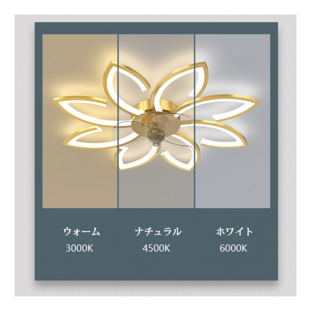 photo5