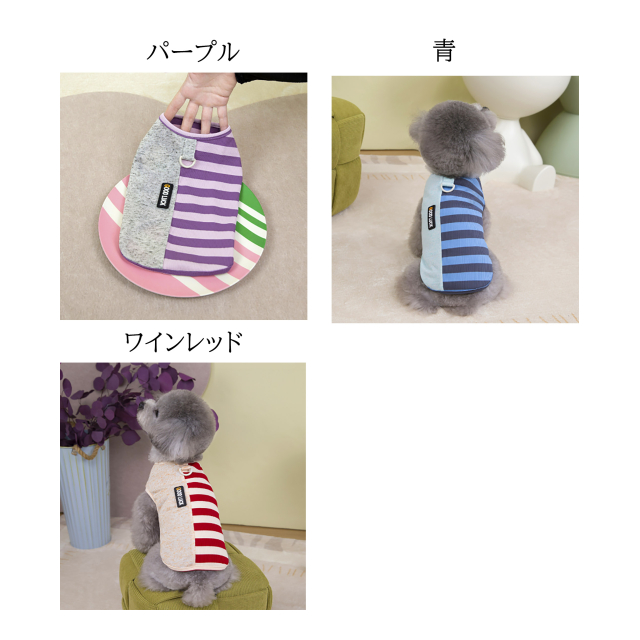 photo8