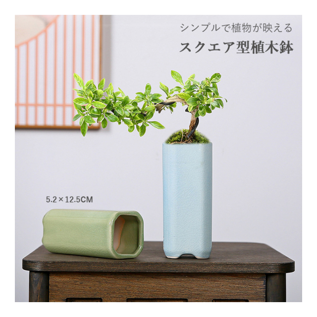 植木鉢 ミニ シンプル スクエア プランター 多肉植物 多肉ポット 盆栽鉢植え 植木鉢 花瓶 インテリア置物