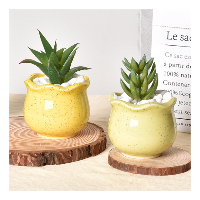 植木鉢6点セット つぼ型 ミニ シンプル プランター 多肉植物 多肉