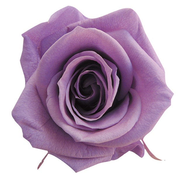 photo1