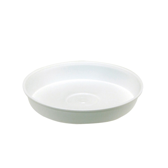photo1