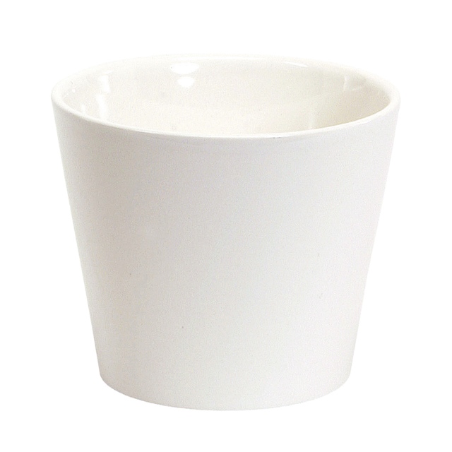 photo1