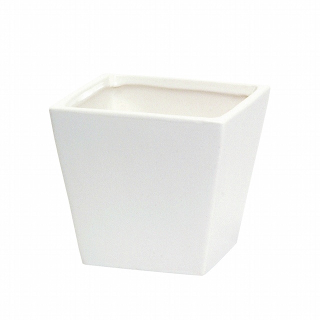 photo1