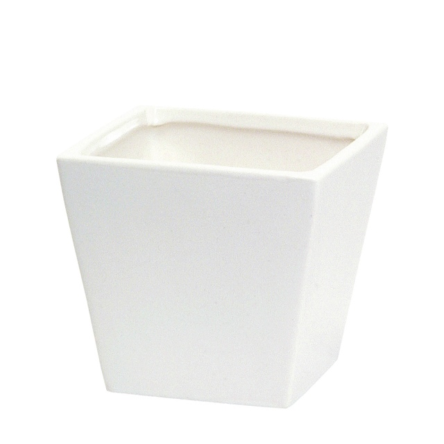 photo1