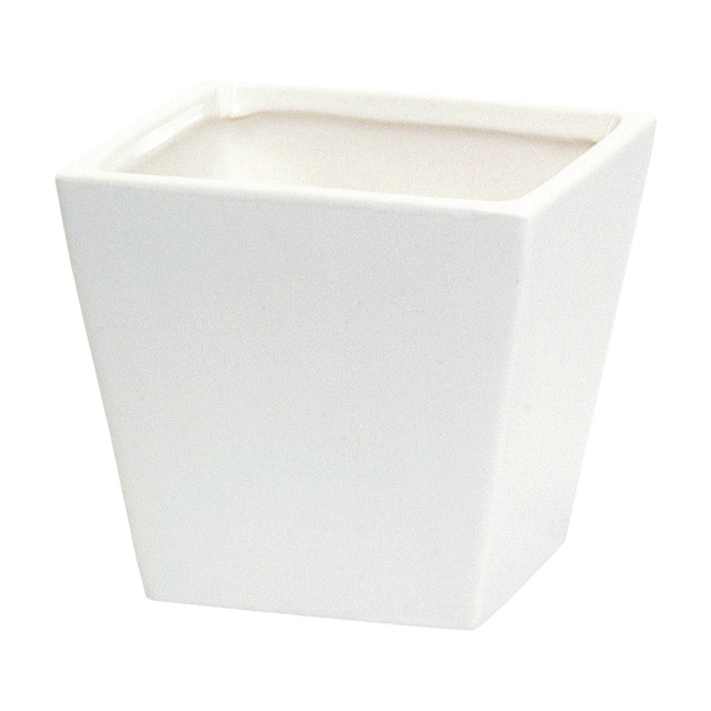 photo1