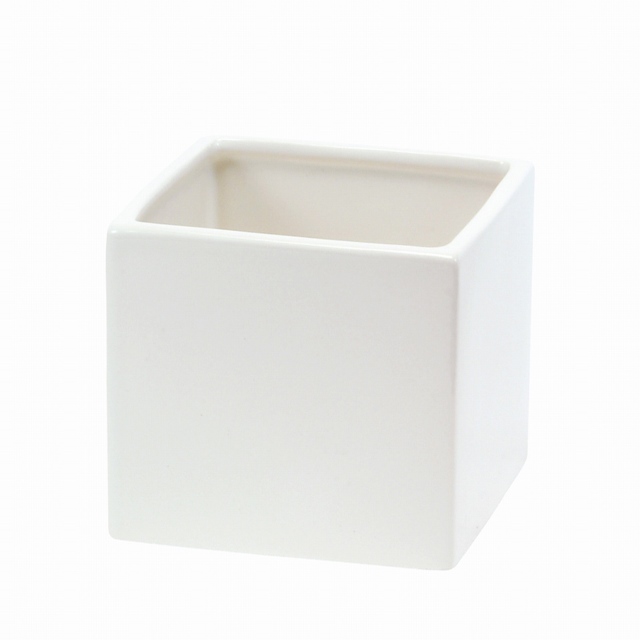 photo1