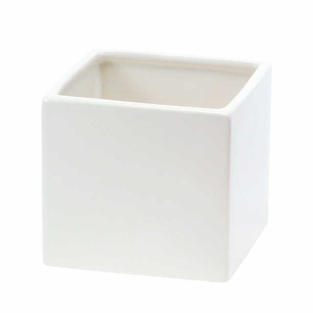 photo1