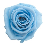 スタンダードローズラベンダーFL000100-014　自然素材　ドライフラワー　..