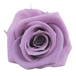 スタンダードローズゴールデンイエローFL000100-017　自然素材　ドライフ..