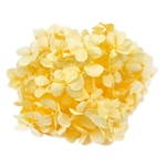 アンデスアジサイシャーベットオレンジFL000291-016　自然素材　ドライフ..