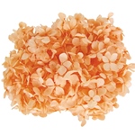 アンデスアジサイグリーンFL000291-023　自然素材　ドライフラワー　プリ..