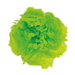 MAGIQ　グリーンネックレスハンギングＧＲＥＥＮFZ000125-zzz　造花