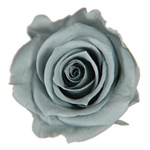 メディアナローズソフトライラックFL000300-043　自然素材　ドライフラワ..