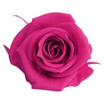 メディアナローズラベンダーピンクFL000300-061　自然素材　ドライフラワ..