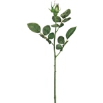 MAGIQ　プリステム　ローズＭＧＲＥＥＮFG010938-zzz　フェイクグリ..