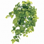 MAGIQ　トクサバンドル　Ｓ（６本束）ＧＲＥＥＮFG009977-zzz　フェ..