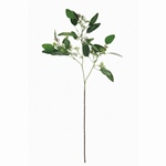 MAGIQ　細葉ユーカリＰＰ／ＧＲFG009464-zzz　フェイクグリーン　イ..