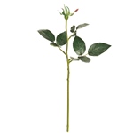 MAGIQ　プリステム　ローズＳＧＲＥＥＮFG010937-zzz　フェイクグリ..