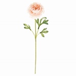 MAGIQ　ラナンキュラスソネット＃４　　ＬＴ．ＹＥＬFM005857-004　..