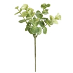 MAGIQ　ユーカリプリピック＃２３　ＷＨ／ＧＲFG008796-023　フェイ..