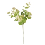 MAGIQ　リュクストラディスカンティアバイン＃２６　ＰＫ／ＧＲFG008797..