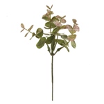 MAGIQ　ユーカリプリピック＃２６　ＰＫ／ＧＲFG008796-026　フェイ..