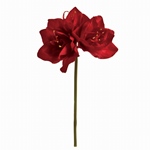 MAGIQ　シャーロットカーネーション＃１　　ＷＨＩＴＥFM000908-001..