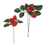 MAGIQ　ジュディスイトピーバンドル＃１　　ＷＨＩＴＥFM006014-001..