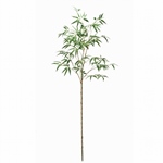 MAGIQ　サリックススレンダーブランチＤＫ／ＢＲＯＷＮFG003675-zzz..