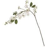 MAGIQ　アキレアベロニカピック＃１　　ＣＲＥＡＭFM004051-001　造..