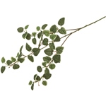 MAGIQ　プミラバインＧＲＥＥＮFG006342-zzz　フェイクグリーン　イ..