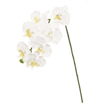 MAGIQ　ラナンキュラスソネット＃１　　ＷＨ／ＧＲFM005857-001　造..