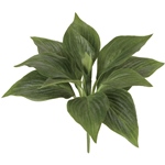 MAGIQ　ボストンファーンブッシュＬＴ．ＧＲFG003999-zzz　フェイク..