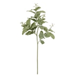 MAGIQ　ビターユーカリバンドル＃３７　ＣＲＥＡＭFG009212-037　フ..