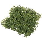 MAGIQ　バンブースプレーＧＲＥＥＮFG007189-zzz　フェイクグリーン..