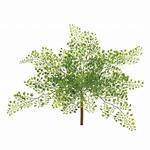 MAGIQ　フロッキーグラスブーケＬＴ．ＧＲＥＥＮFG009341-zzz　フェ..