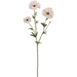 MAGIQ　リュクスラナンキュラス＃５２　ＨＯＴＰＫFM004119-052　造..