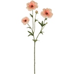 MAGIQ　リュクスラナンキュラス＃２１　ＤＫ．ＹＬFM004119-021　造..