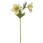 MAGIQ　ミニモカラ＃１　　ＷＨＩＴＥFM004516-001　造花