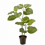 MAGIQ　ウンべラータＧＲＥＥＮFG016500-zzz　フェイクグリーン　イ..